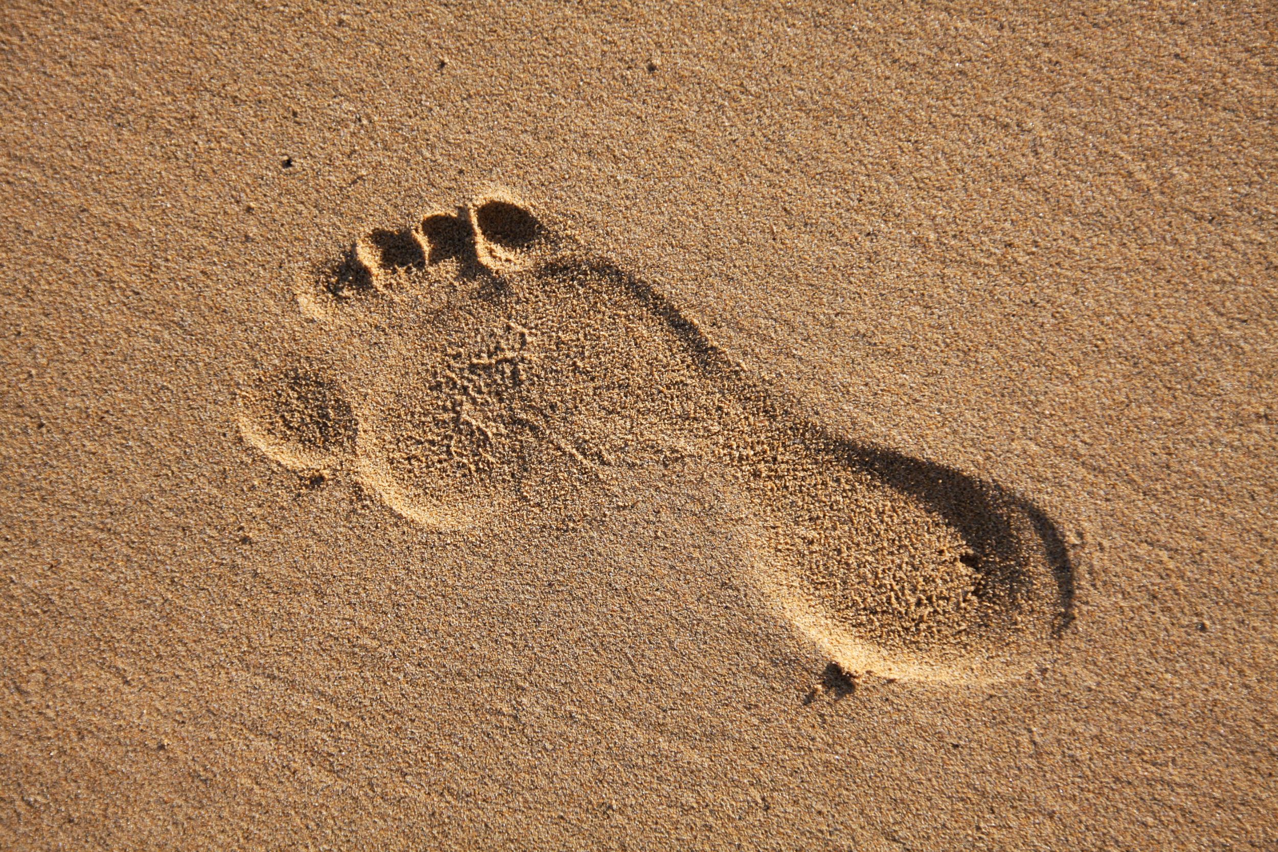 Podiatry-and-Physiotherapy Podiatry-and-Physiotherapy