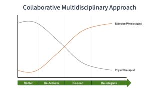 Total-Knee-Reconstruction
